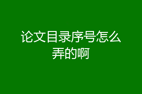 论文目录序号怎么弄的啊