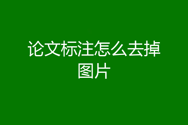 论文标注怎么去掉图片