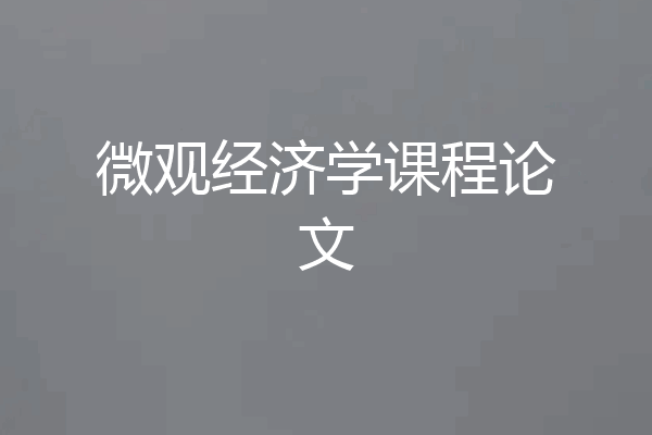 微观经济学课程论文