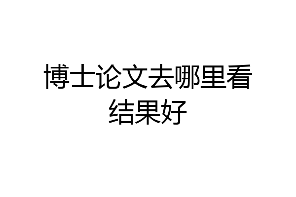 博士论文去哪里看结果好