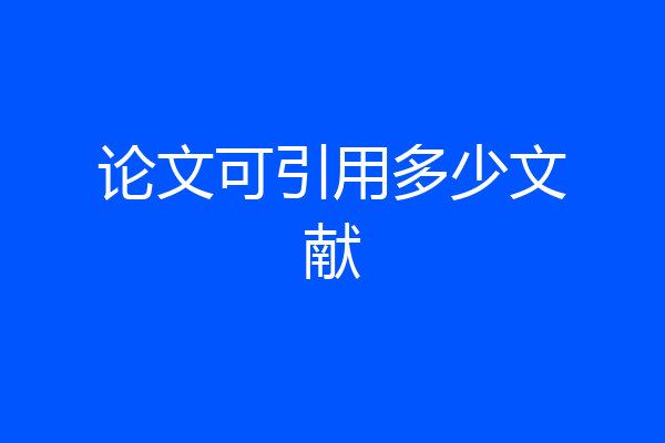 论文可引用多少文献