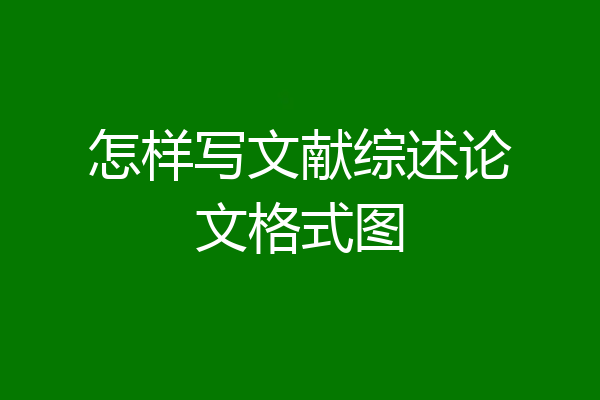 怎样写文献综述论文格式图