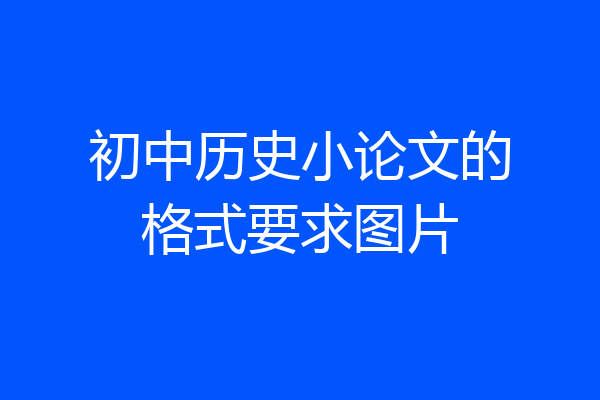 初中历史小论文的格式要求图片