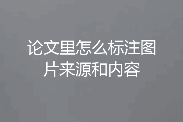 论文里怎么标注图片来源和内容