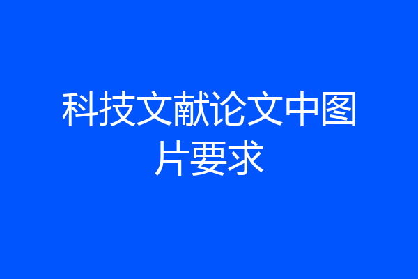 科技文献论文中图片要求