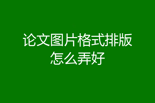 论文图片格式排版怎么弄好