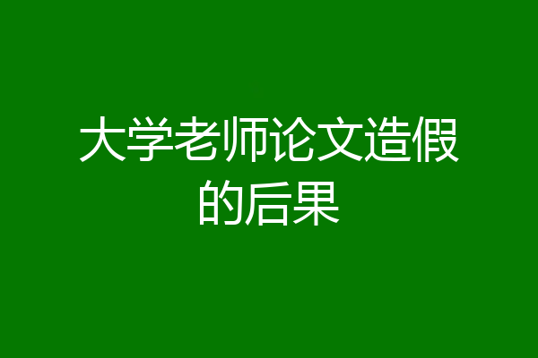 大学老师论文造假的后果