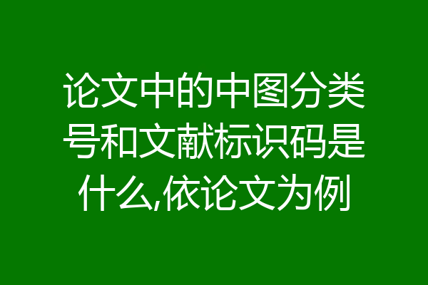 论文中的中图分类号和文献标识码是什么,依论文为例