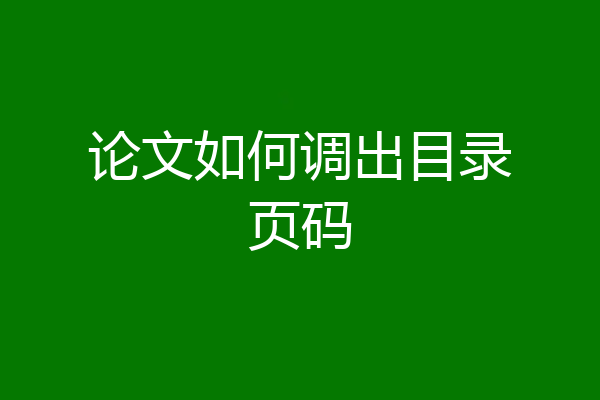 论文如何调出目录页码
