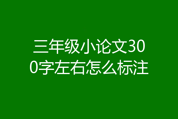 三年级小论文300字左右怎么标注