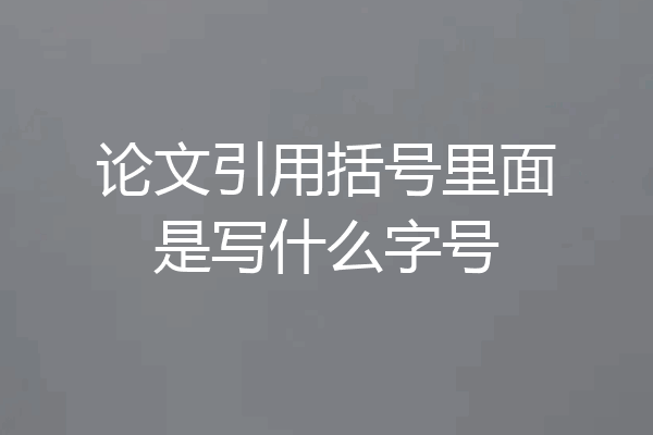 论文引用括号里面是写什么字号