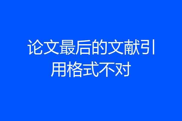 论文最后的文献引用格式不对