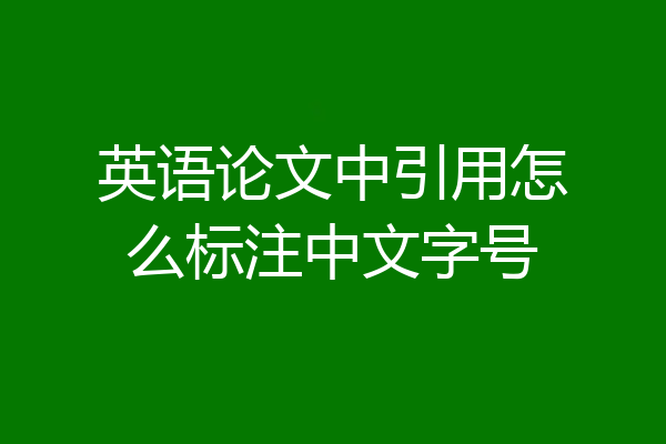 英语论文中引用怎么标注中文字号