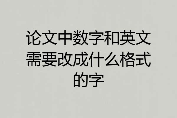 论文中数字和英文需要改成什么格式的字