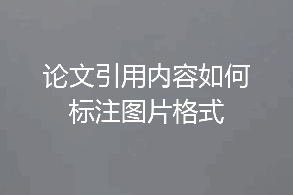 论文引用内容如何标注图片格式