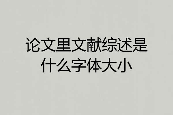 论文里文献综述是什么字体大小