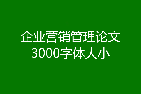 企业营销管理论文3000字体大小