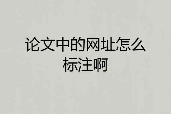 论文中的网址怎么标注啊