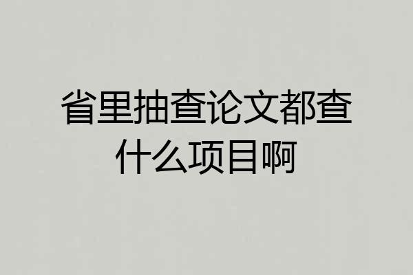 省里抽查论文都查什么项目啊
