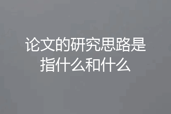 论文的研究思路是指什么和什么