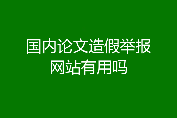 国内论文造假举报网站有用吗