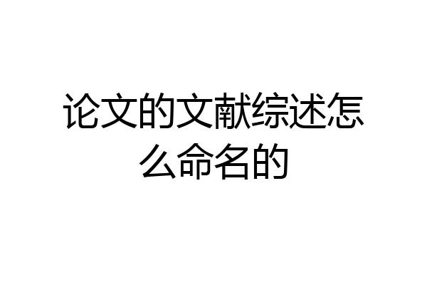 论文的文献综述怎么命名的