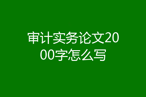 审计实务论文2000字怎么写