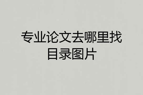 专业论文去哪里找目录图片