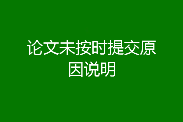 论文未按时提交原因说明