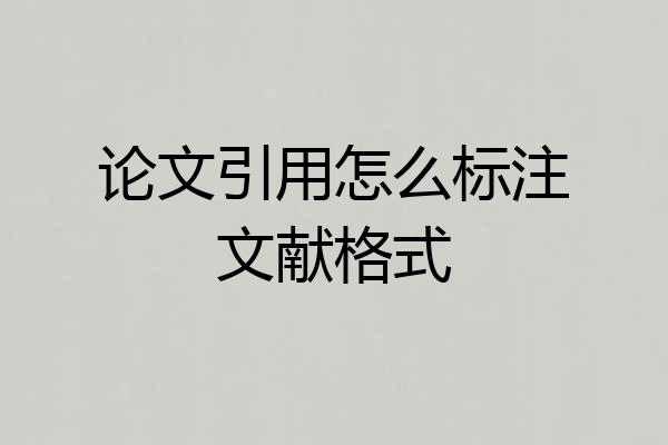 论文引用怎么标注文献格式