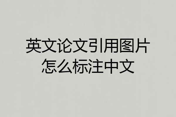 英文论文引用图片怎么标注中文