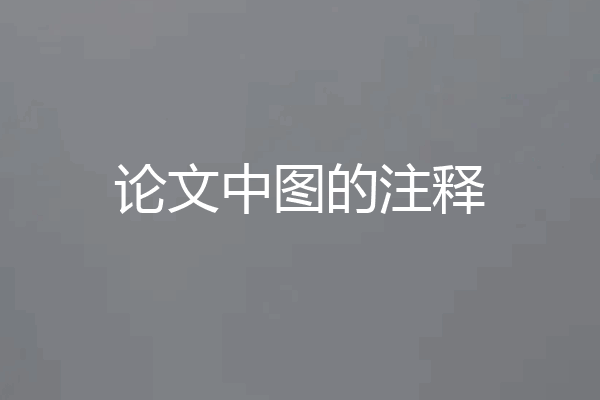 论文中图的注释