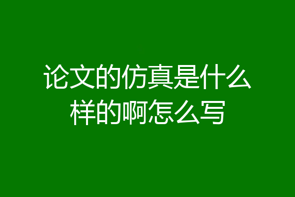 论文的仿真是什么样的啊怎么写