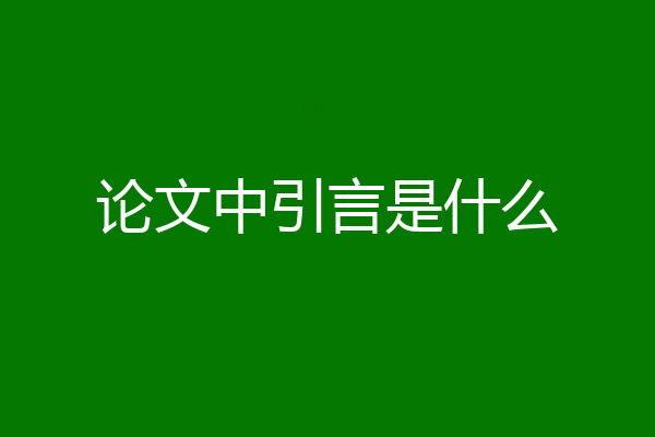 论文中引言是什么