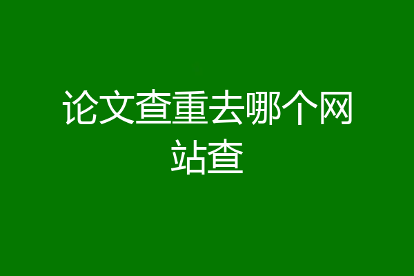 论文查重去哪个网站查