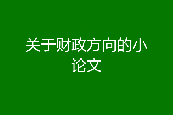 关于财政方向的小论文