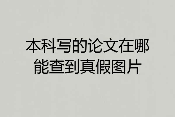 本科写的论文在哪能查到真假图片