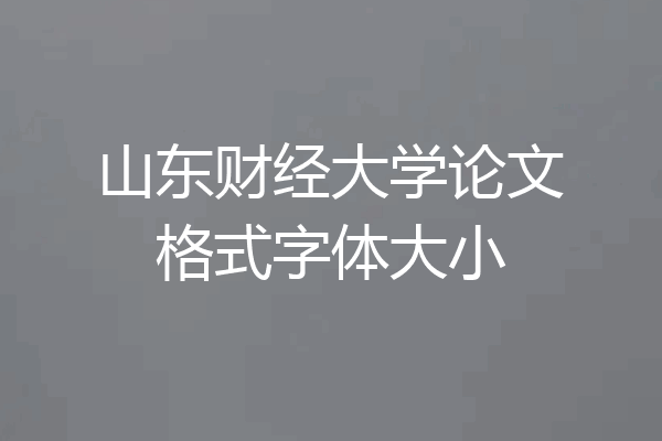 山东财经大学论文格式字体大小