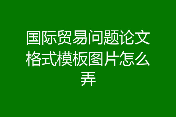 国际贸易问题论文格式模板图片怎么弄
