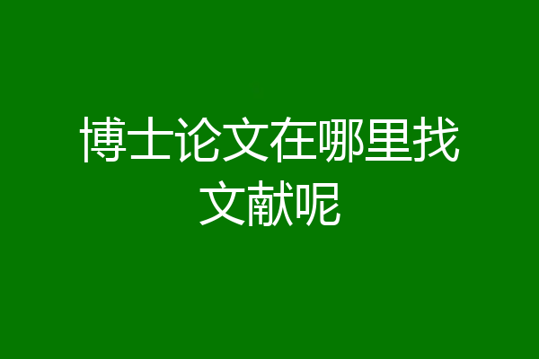 博士论文在哪里找文献呢