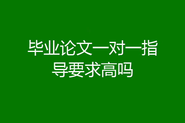 毕业论文一对一指导要求高吗