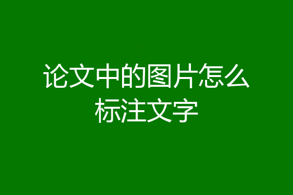 论文中的图片怎么标注文字