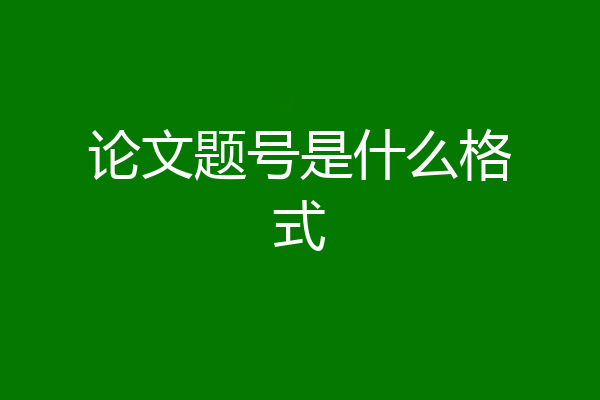 论文题号是什么格式