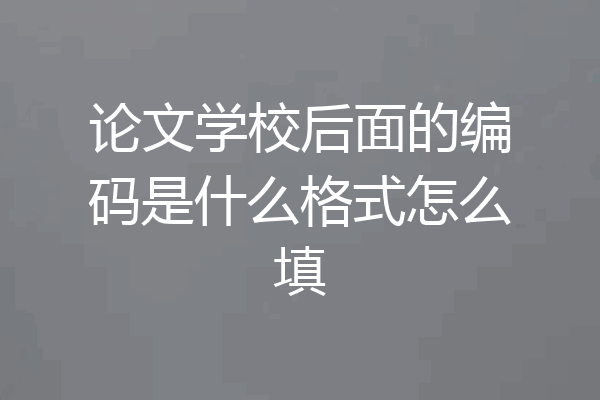 论文学校后面的编码是什么格式怎么填