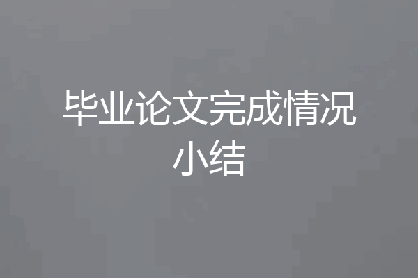 毕业论文完成情况小结