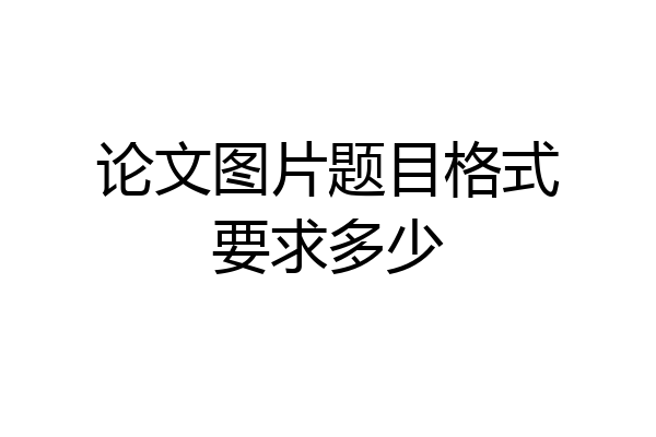 论文图片题目格式要求多少
