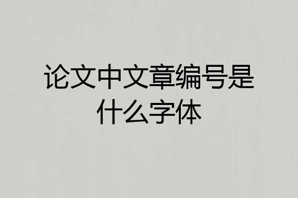 论文中文章编号是什么字体