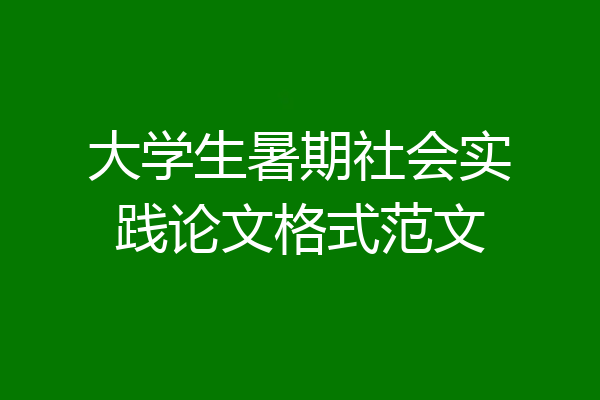 大学生暑期社会实践论文格式范文