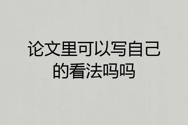 论文里可以写自己的看法吗吗