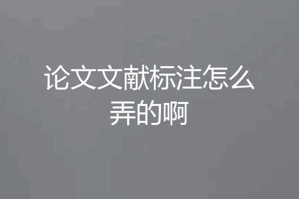 论文文献标注怎么弄的啊